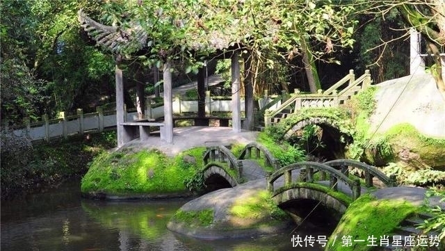 皇后|如果唐昭宗何皇后是玛丽苏文女主角