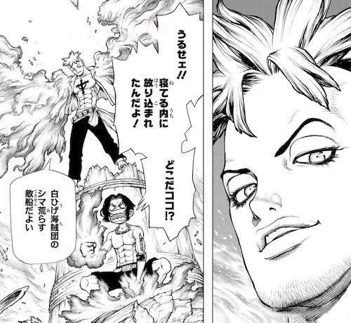 果实|海贼王官方资料又有两颗果实样式公布,艾斯小说迎来全新图透