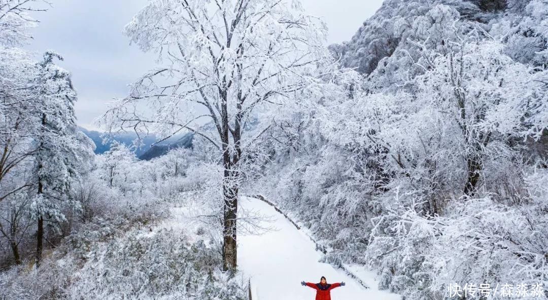 山下|十里风雪天涯路，秦岭雪乡留下吧，紫柏山下是我家