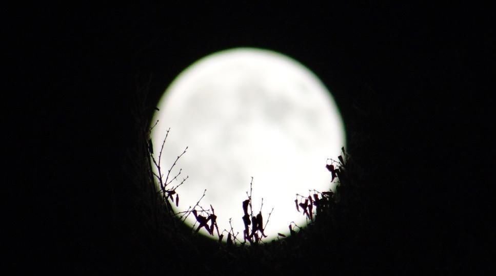 杨万里#杨万里在家中望月,突发奇想写下一首诗,短短4句,令人赞叹不已