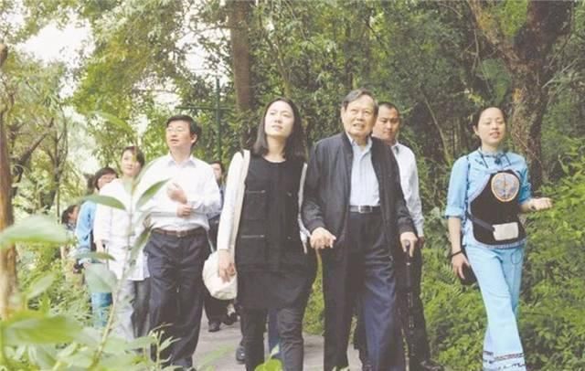 历史|杨振宁允诺翁帆“将来我不在了,我赞成你再婚”翁帆只回13字
