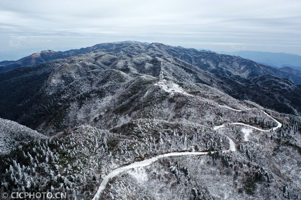 拍摄的雪景|冬雪如画