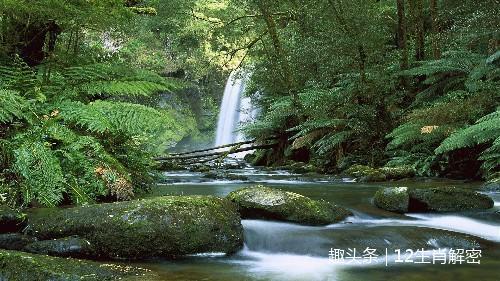 好运|未来5天，横财如云，钞票如雨，咸鱼翻身变富翁，将交好运3生肖