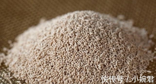 二氧化碳|酵母、泡打粉、小苏打有啥区别? 能一起用吗? 30年面点师告诉你