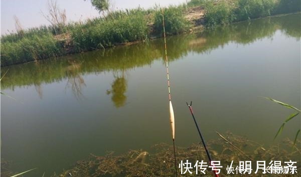 饵重|钓鱼技巧调漂方法虽然有多种,但要做到精准,都要遵循这些要点