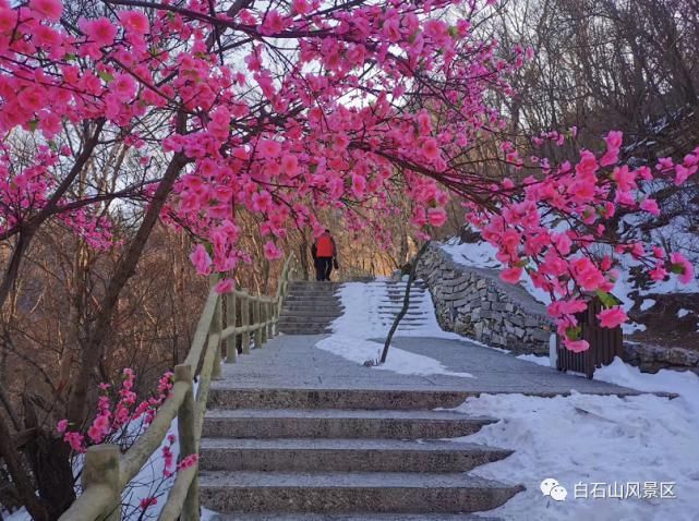 中年|2021第一场春雪！涞源白石山美上天际~