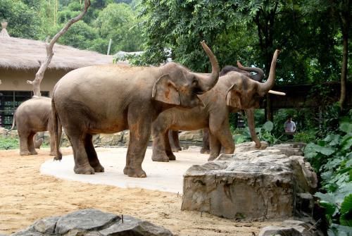 庆云#诗词:秃笔投枪抵万兵，横眉立目骨铮铮