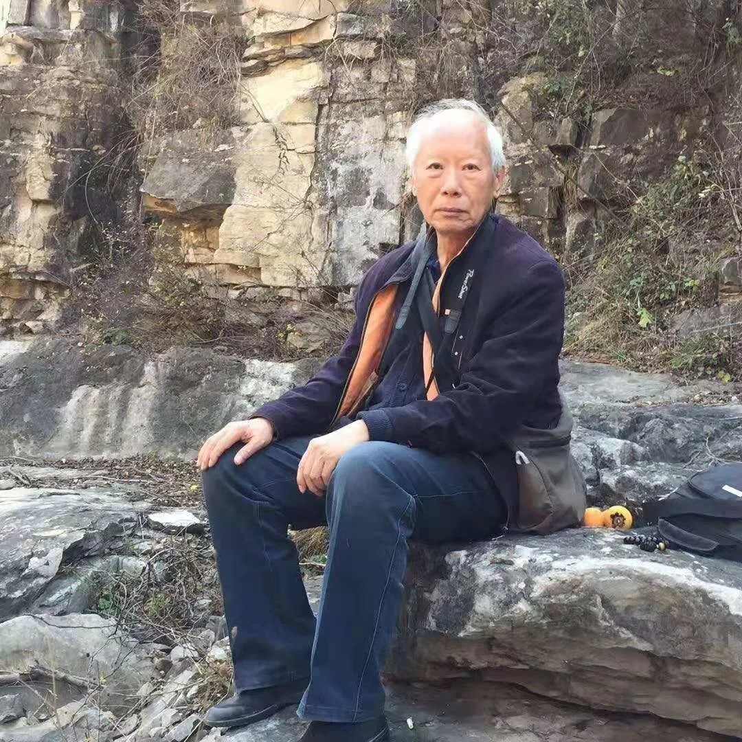 水墨|「王生义」|丹青追梦 水墨本色-中国当代书画名家个人云展览