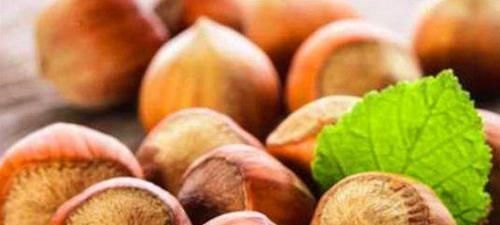 睡眠质量|容易失眠的人,4个方法用好了,助提高睡眠质量,一觉睡到天大亮