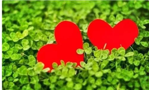 心静|养生先养心，你知道怎么养心吗？