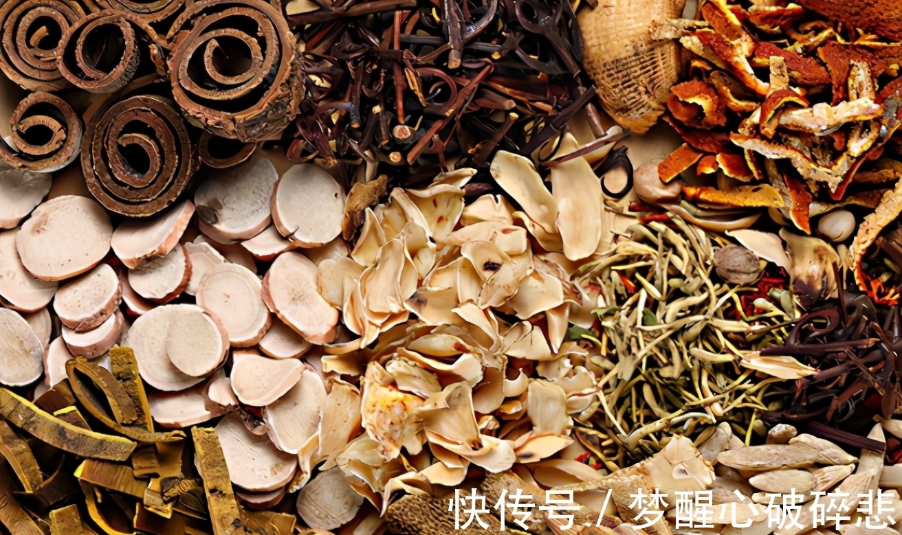 养花小窍门:喂点这2样“营养品”,植物个个根壮叶绿