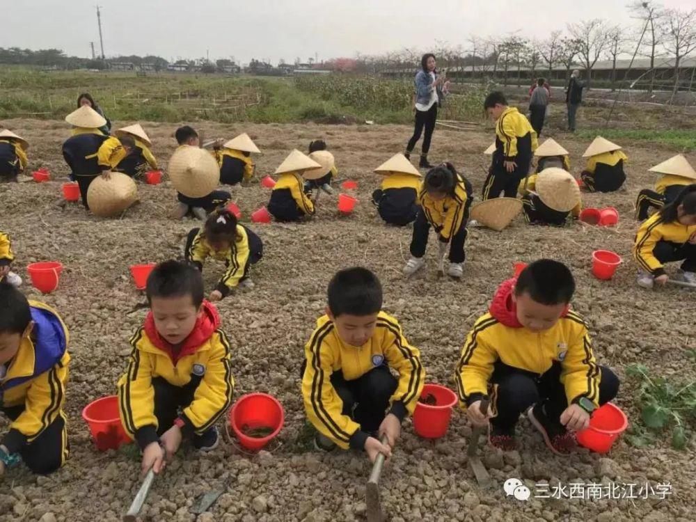 多彩|多点开花！快看三水教育的多彩活动