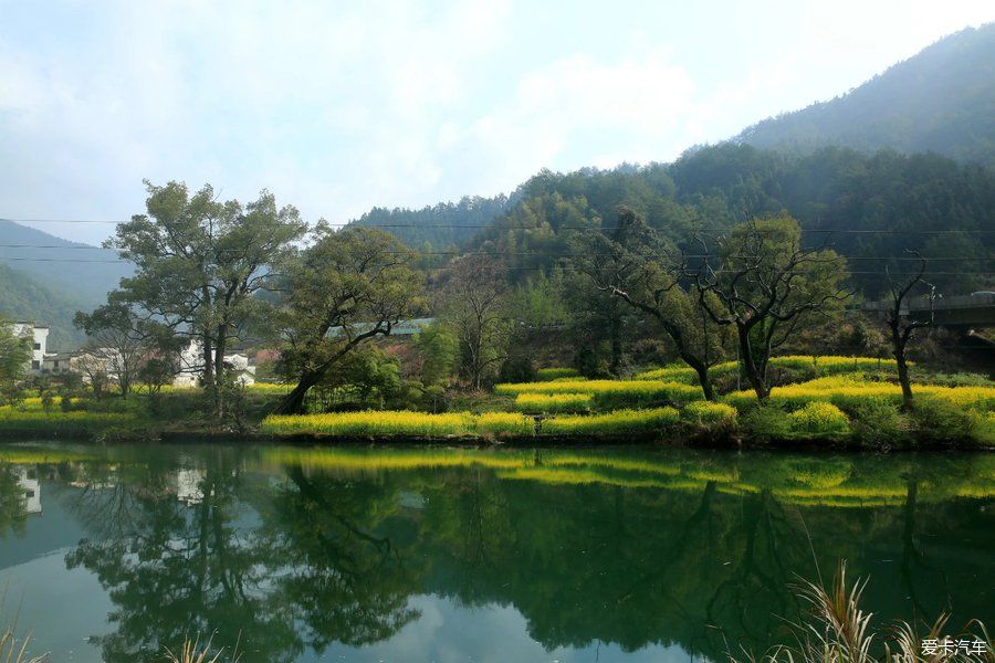 阳春三月，游婺源赏油菜花