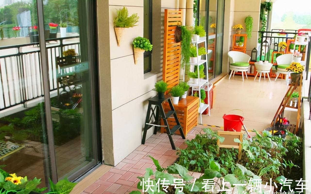 花期|这6种花在阳台很好养,只要有阳光就特别旺盛,花期长颜值还很高