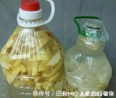 发酵|种激素水,比黄豆水、淘米水强10倍,花卉喝1点,花苞猛爆