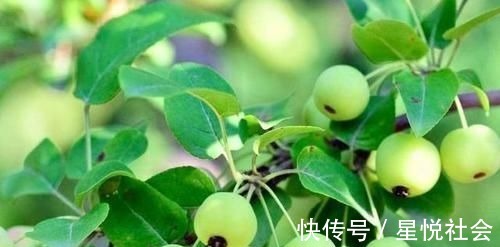 补充|女性想要身体好，常吃3种食物，补充营养，延缓衰老，滋补身体