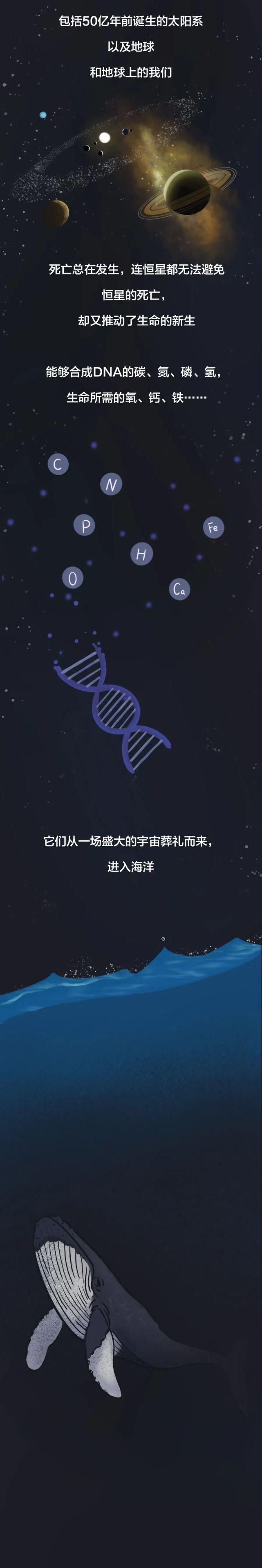 我们都诞生自一场盛大的葬礼