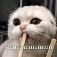 女孩子|香薰减肥,网红抽脂,女性身材焦虑,谁是罪魁祸首?