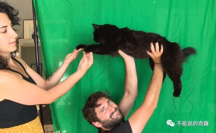 |拳拳到肉,情节可紧张可搞笑,美国夫妻将家猫放进各式电影超有趣