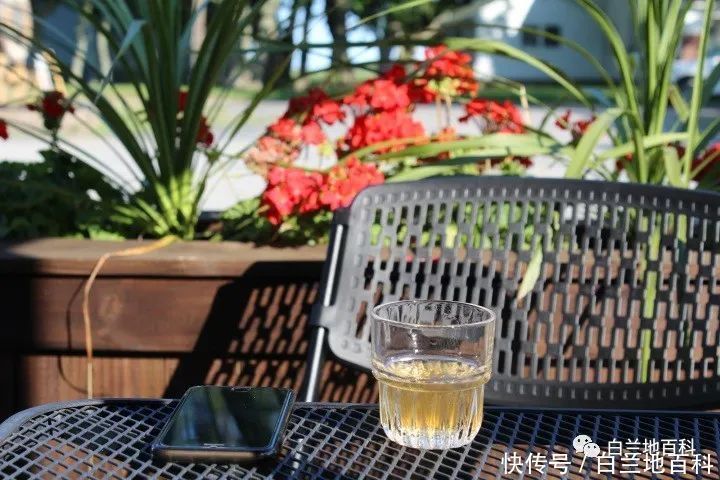 西方国家|一个从未喝过酒的人应该如何点酒