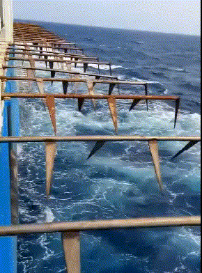 |搞笑GIF: 姜还是老的辣 以后再也不跟老丈人打牌了