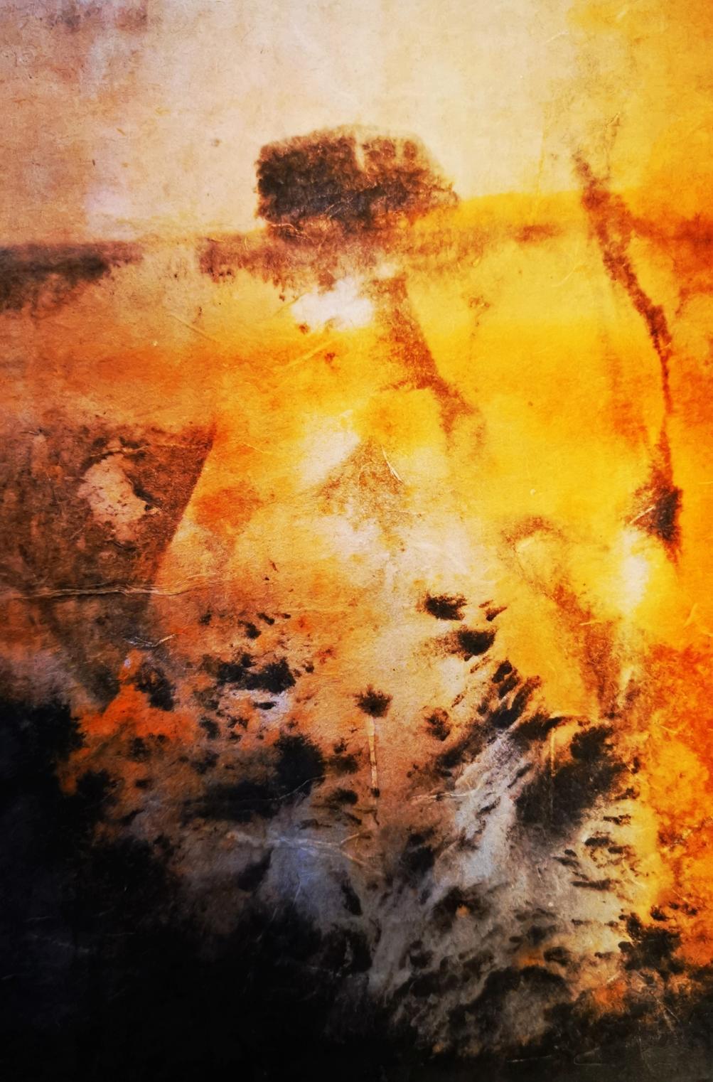 x60|丁显洲中国画作品赏析