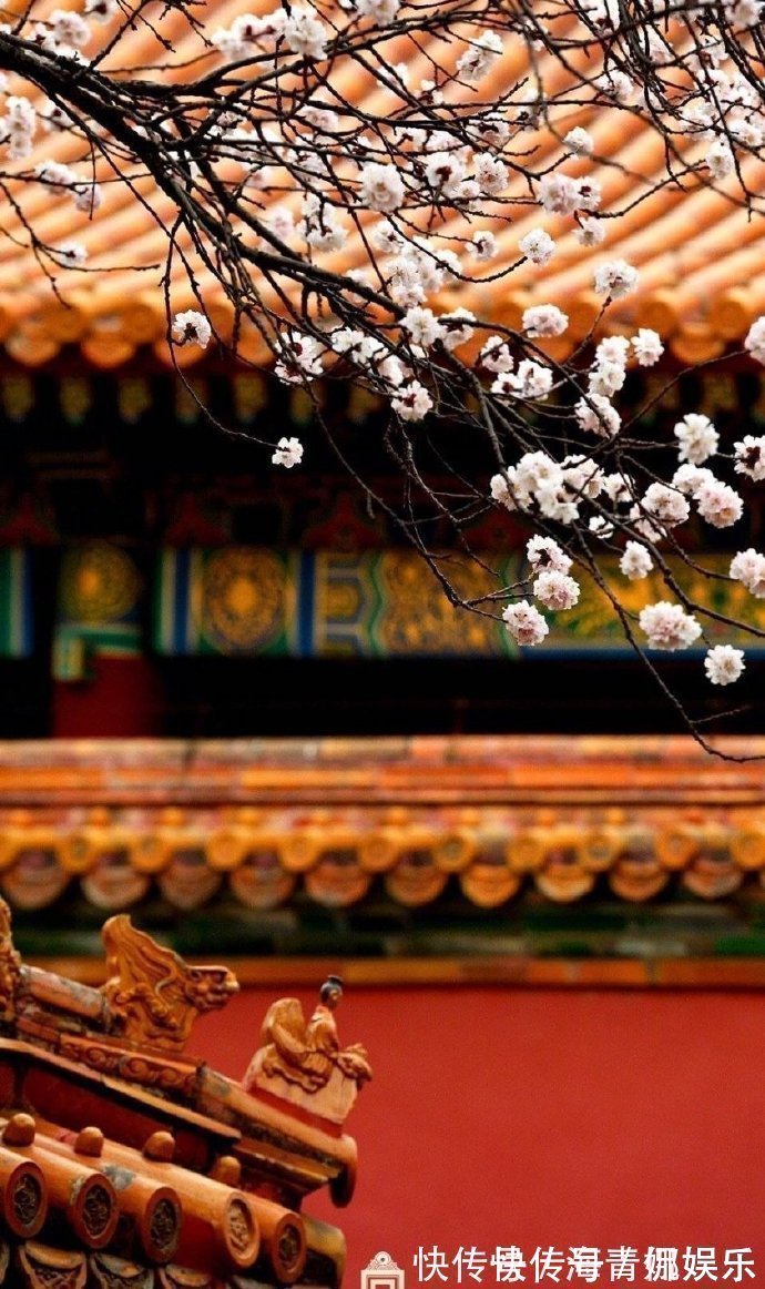 探宝!哲学解释生死,时间会衡量人生的意义,用瞬间来思考永恒!