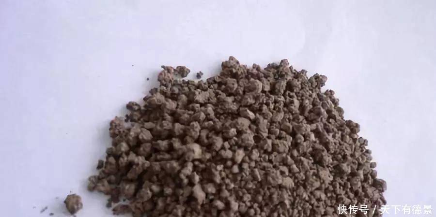 多肉植物施什么肥料,多肉6种常用肥料