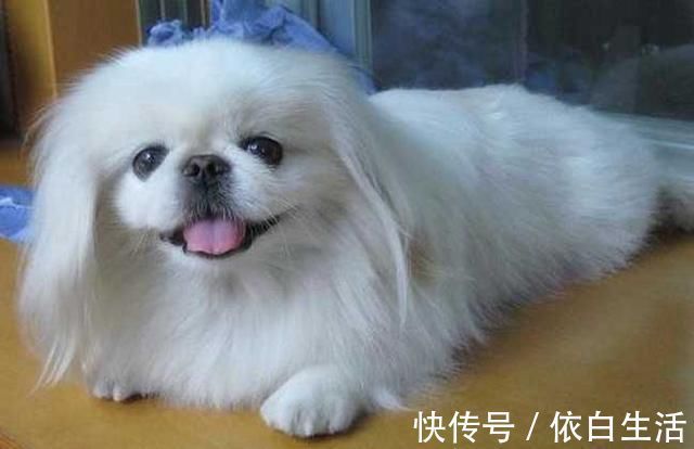 文采#5个妙趣横生的人名对联,不但有文采,而且有欢乐