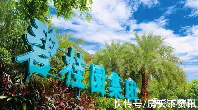 中国恒大|碧桂园的里子｜40%区域被合并 万亿负债暗潮涌