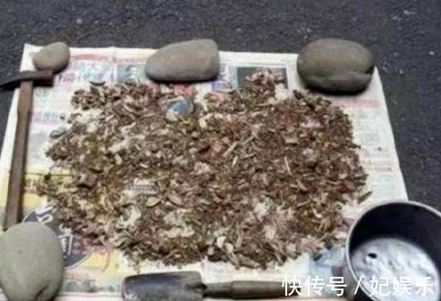 施肥|养花土里混入“它们”，可保半年内日常无需施肥