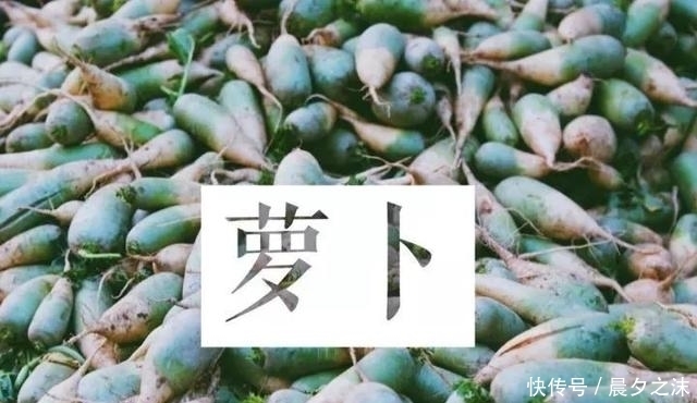 目瞪口呆|入冬了,听说东北人开始论车买菜了,南方人看得目瞪口呆