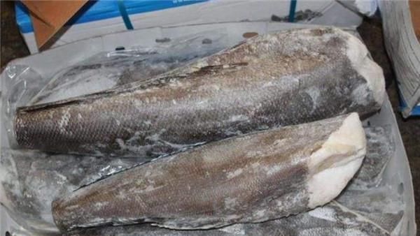 渔民|为什么渔民捕捞到鳕鱼,要马上去掉鱼头掺杂了这种鱼可要当心