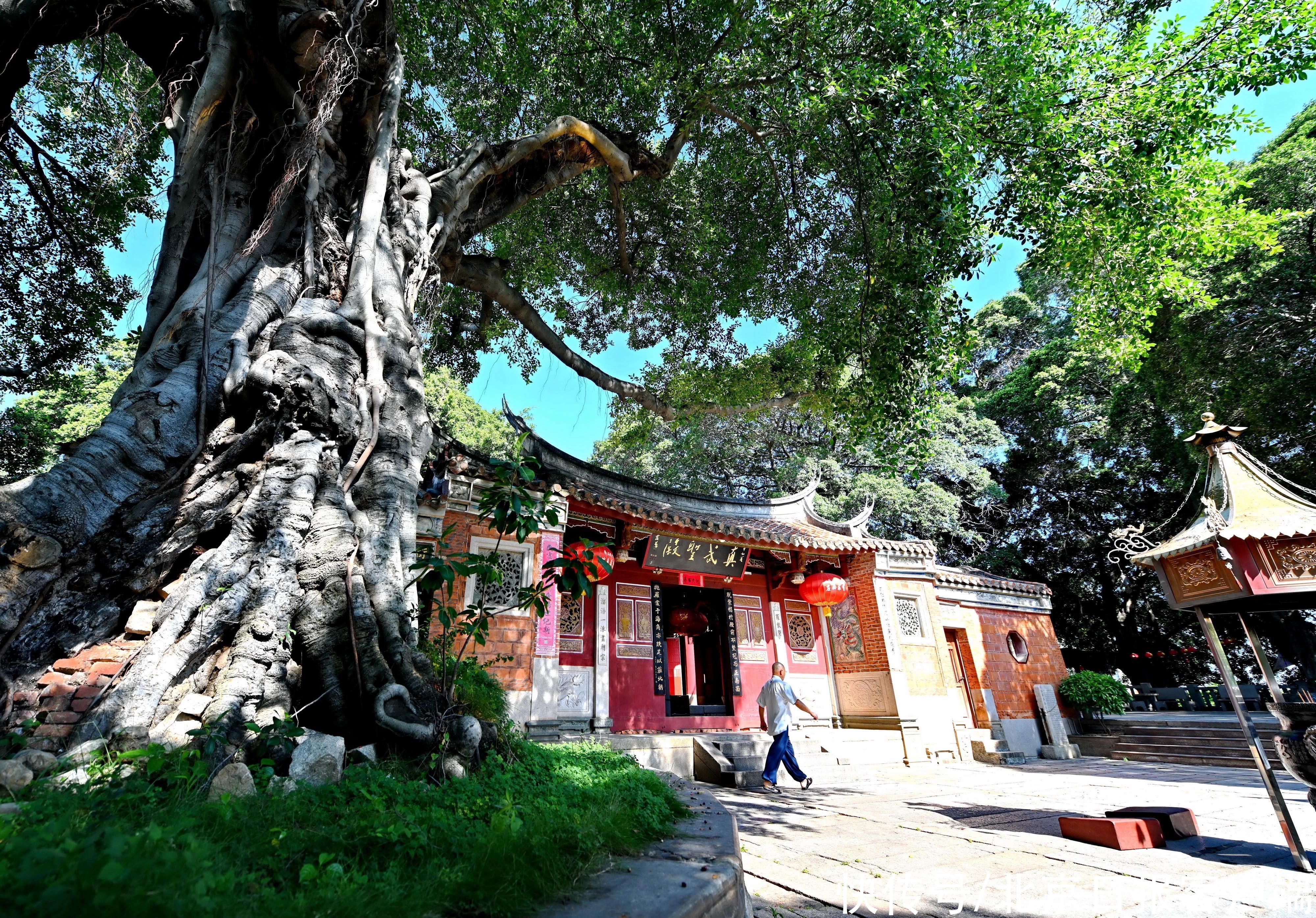 海外贸易|涨海声中万国商——在泉州梦回宋元