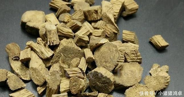一味能“引血下行”的良药,可活血瘀、强筋骨、益肝肾