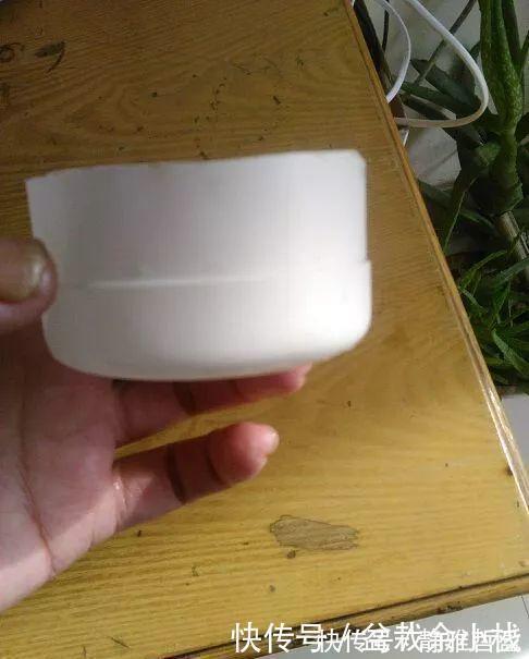 买的花盆又贵又难看？花花教你自制花盆，省钱又漂亮！