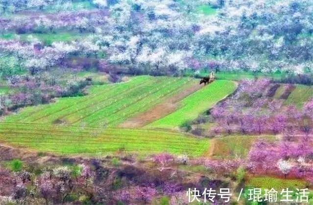 指头#传承千年的15句经典歇后语,深刻有内涵,值得收藏