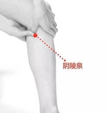 委中穴|百病都从湿气起,找到身体排湿口,调病就成了一半!肝病不近身!