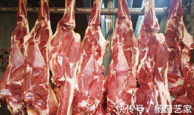买羊肉,“前腿”好还是“后腿”好?肉贩:区别太大,买错不划算