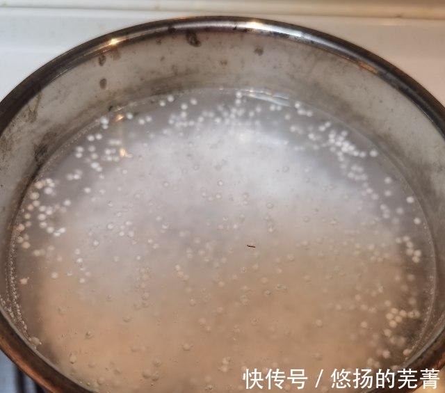果浆|杨枝甘露,夏日饮品,口味超赞!