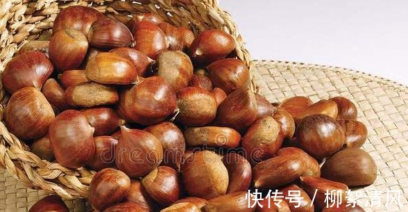 黑生虫|保存板栗不要直接放冰箱，良心果农教你一招，放一年也不发黑生虫！