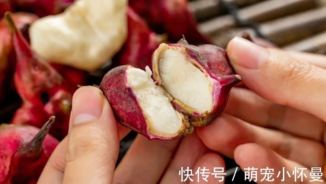 糯米丸子|敷面膜不如多吃它!喝一口美又润,每年秋天都不能错过!