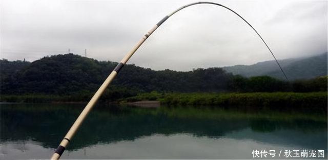 鱼钩挂底、挂树、挂衣服,别着急,这样处理,很快就能搞定
