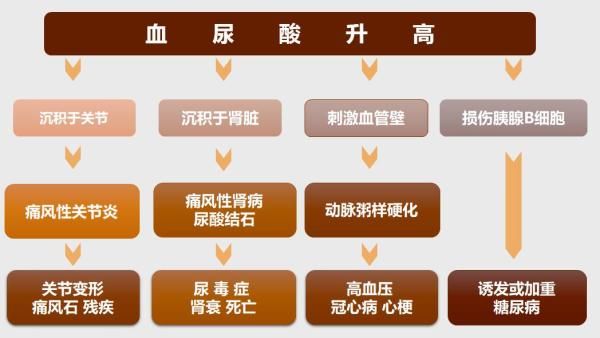 服用|您还记得前段时间吃的小龙虾、喝的啤酒吗？秋后来“算账”啦！