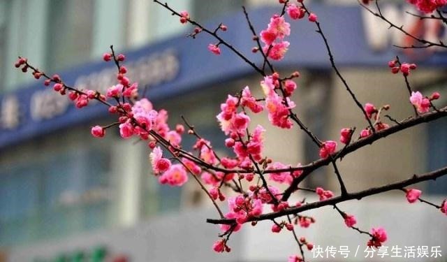 留下|中国历史上唯一一个音乐名将，留下一首曲子影响后世一千多年