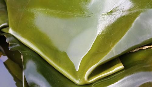 山楂|高血压的“对头”被公布，若你爱喝，血管会轻松很多，降压或不难