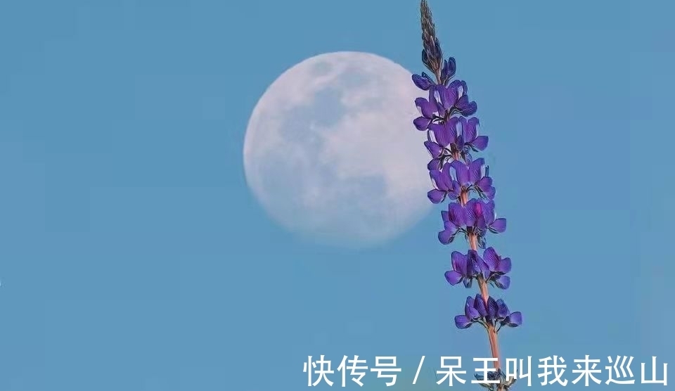 兵临城下#李清照：乱世中的美神，惊艳了千年时光！