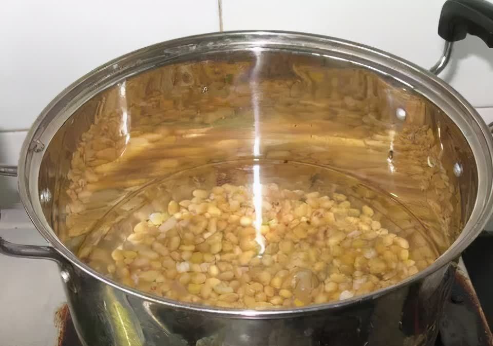 “一等养花肥”从不需花钱买,亲自动手制作,效果好还不烧苗