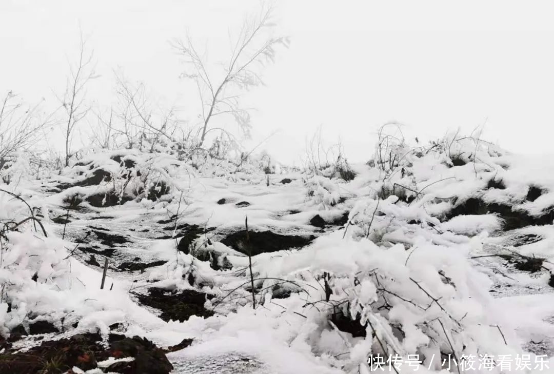 玩雪|绵阳最近的玩雪地，北川擂禹路“ 数千人”玩雪！