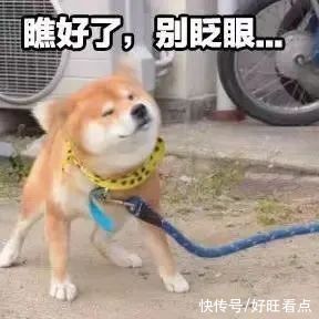 电子商务|补贴发放！凤翔区双十一营销补贴活动圆满落幕